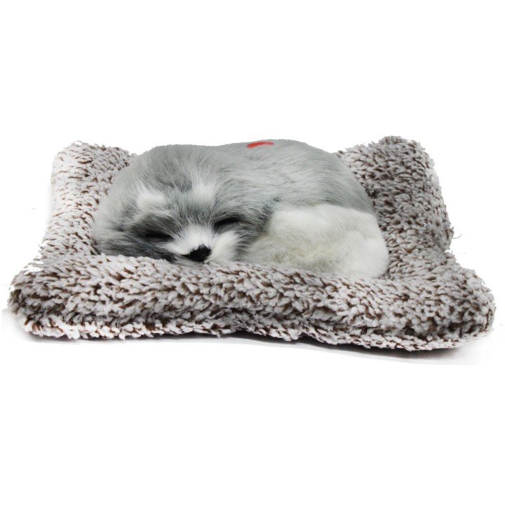 Собачка-пухнастик на килимку, вид 6