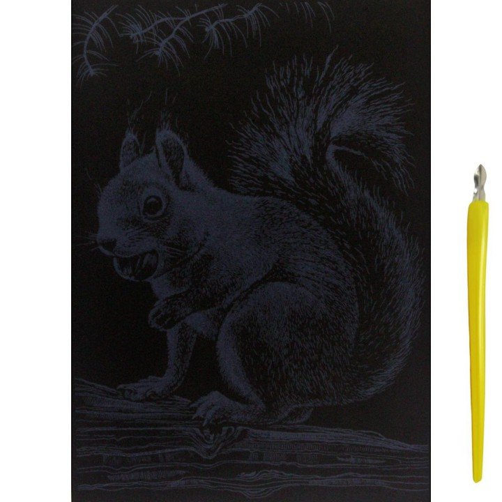 Гравюра "Silver Metallic: Білка" (А5) Економ