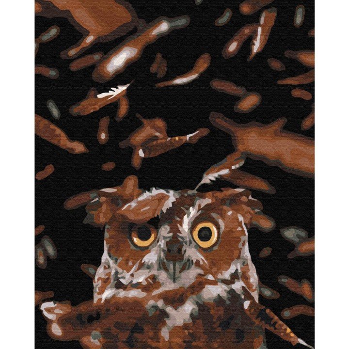 Картина за номерами "Розумна сова" ★★