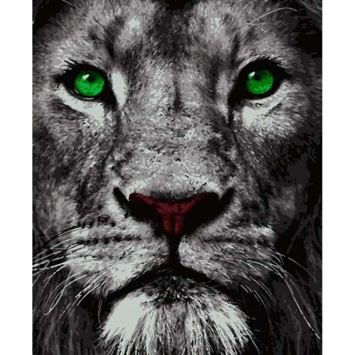 Картина за номерами "Царський погляд" ★★★★