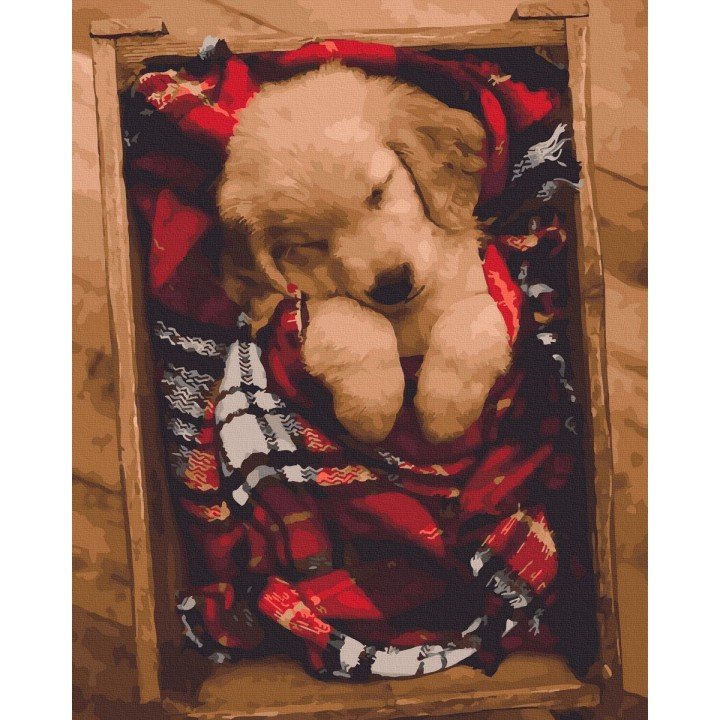 Картина за номерами "Цуценя" ★★★