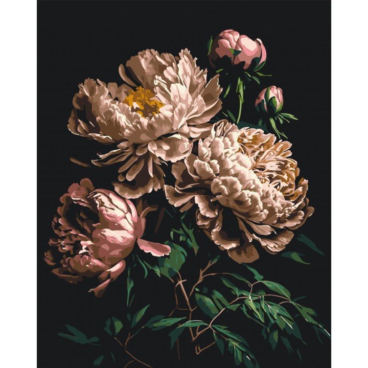 Картина по номерах "Білі піони" 40x50 см