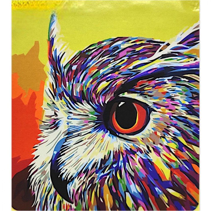 Картина по номерах "Сова арт" 40х50 см
