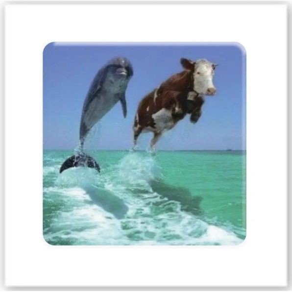 3D стікер "Два дельфіни" (ціна за 1 стікер)