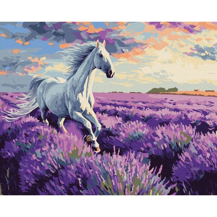 Картина за номерами "У лавандових полях" 40х50 см
