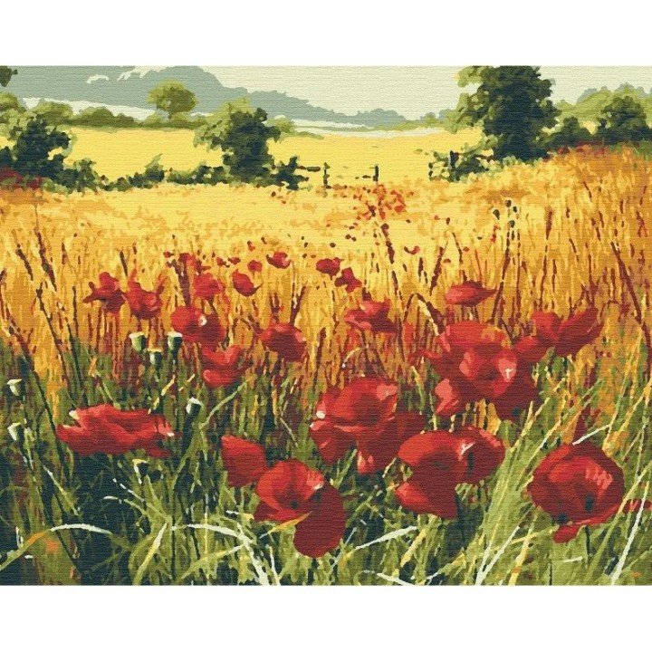 Картина по номерах "Поле" 50x40 см