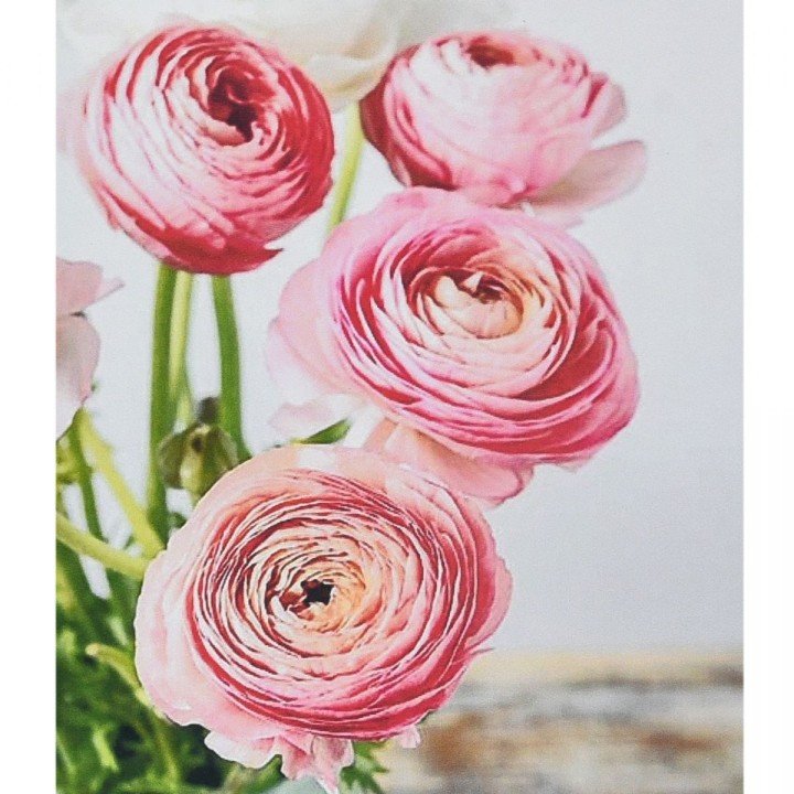 Алмазна мозаїка "Рожева симфонія" 30х40 см