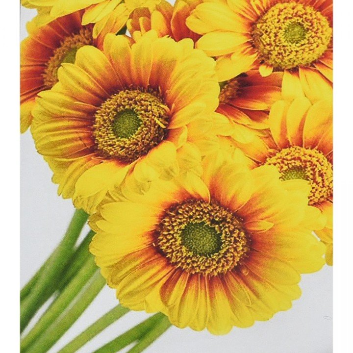 Алмазна мозаїка "Сонячні квіти", 30х40 см