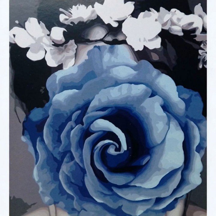 Картина по номерах "Дiвчина-троянда" 40х50 см