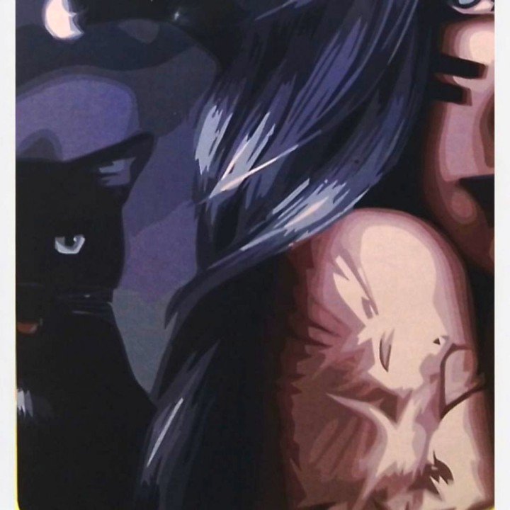 Картина по номерах "Мольфарка" 40х50 см