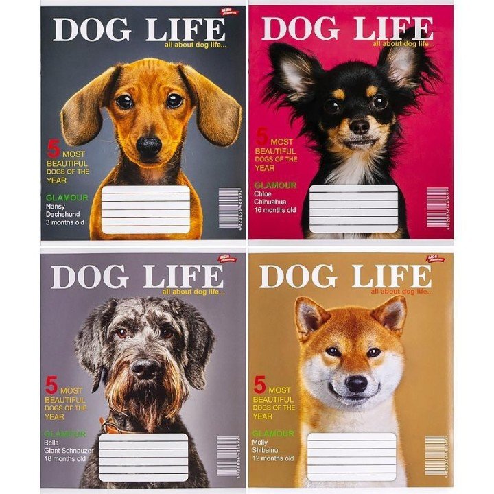 Зошит кольоровий 12 аркушів, клітинка (20 штук в упаковці)