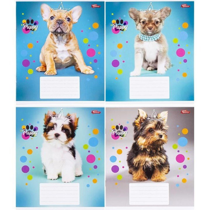 Зошит кольоровий 12 аркушів, клітинка (20 штук в упаковці)