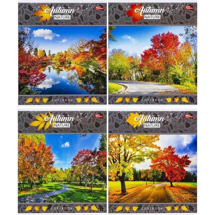 Зошит кольоровий 24 аркушів, клітинка (16 штук в упаковці)