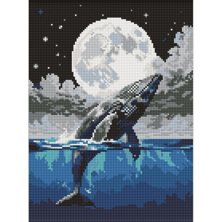 Набір з алмазною мозаїкою "Стрибок до небес" 30х40см