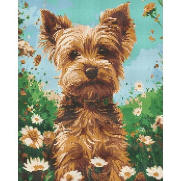 Алмазна мозаїка "Йоркширський терʼєр" 40х50 см