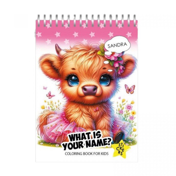 Розмальовка з наліпками 105 х 148 мм.12 ар. (WHAT IS YOU NAME?)