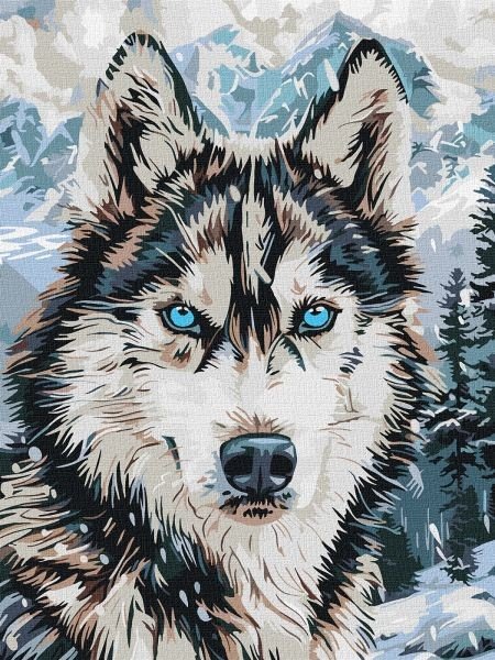 Картина за номерами - "Очі півночі" ©art_selena_ua, 30х40см