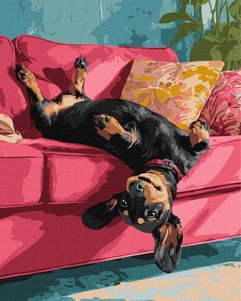 Картина за номерами - Диванна радість 40х50 см.