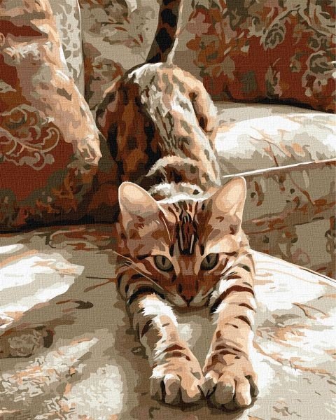 Картина за номерами - Ранкова розминка 40х50 см.