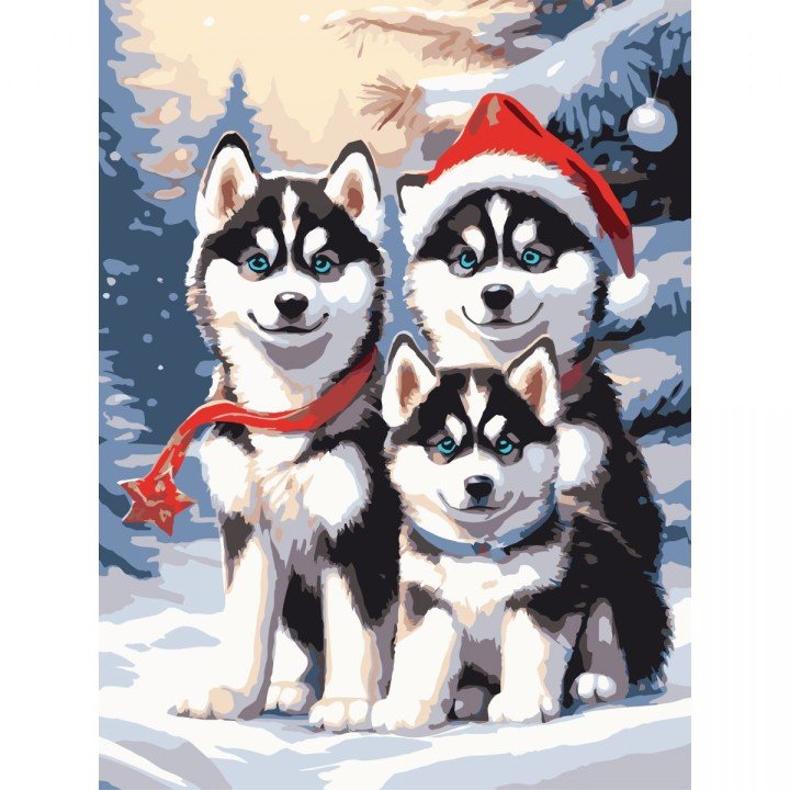 Картина по номерах "Хаскі в снігу" 30х40 см
