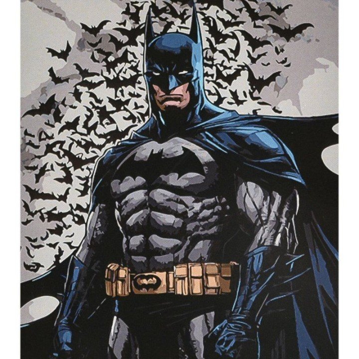 Картина по номерах "Герой у накидці" 40х50 см