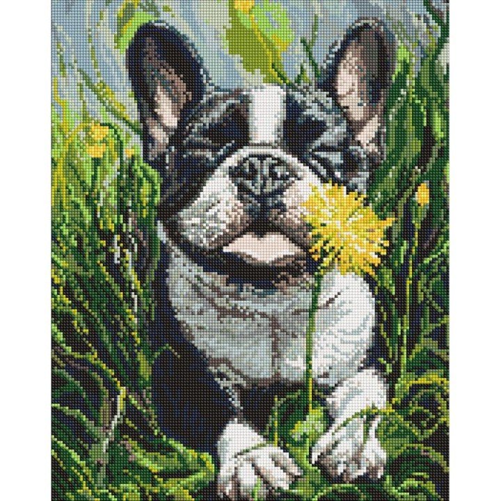 Алмазна мозаїка "Пес і кульбаба" 40х50 см