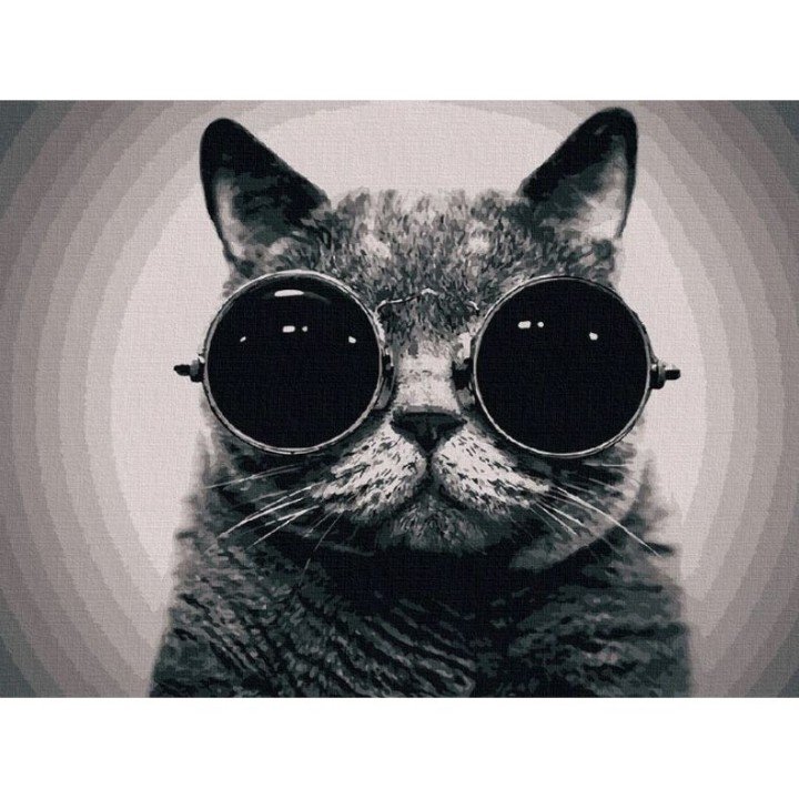 Картина за номерами "Кіт Морфеус" 40х50 см