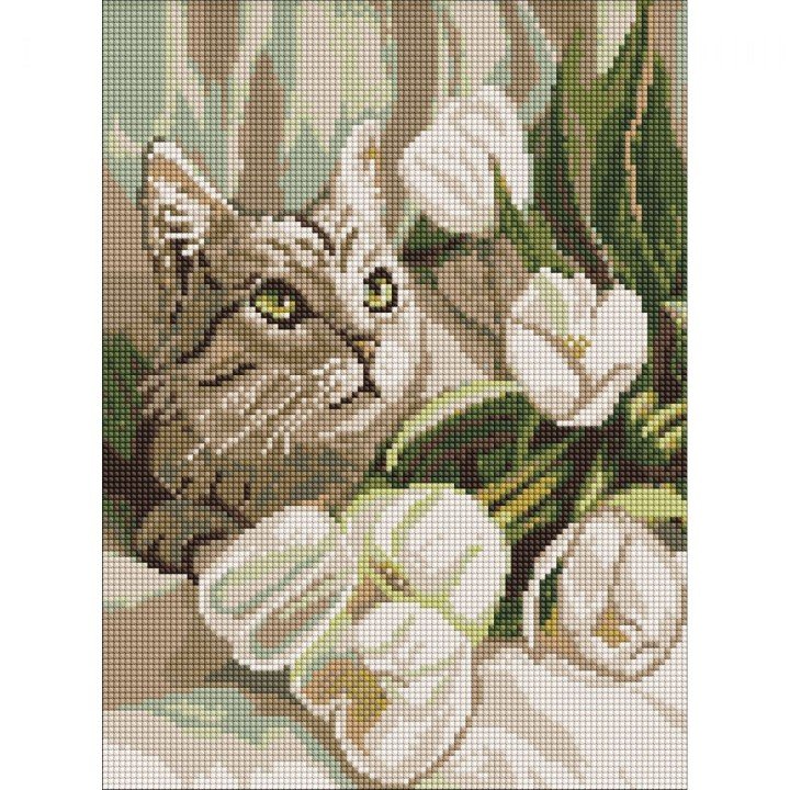 Алмазна мозаїка "Зеленоокий кіт з тюльпанами" 30х40 см