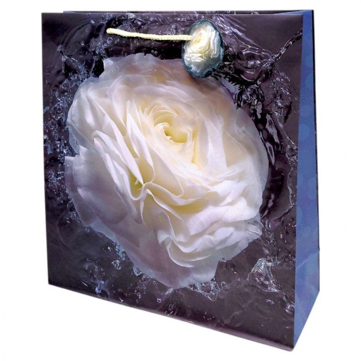 Пакет паперовий 5 шт в пакуванні 18х23х10 см