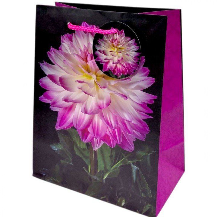 Пакет паперовий 5 шт в пакуванні 18х23х10 см