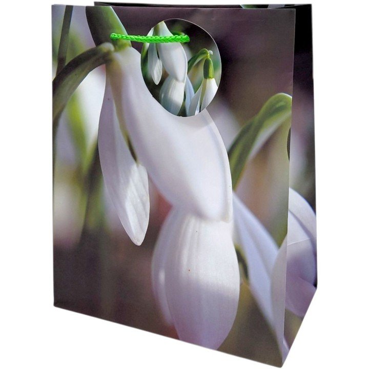 Пакет паперовий 5 шт в пакуванні 18х23х10 см