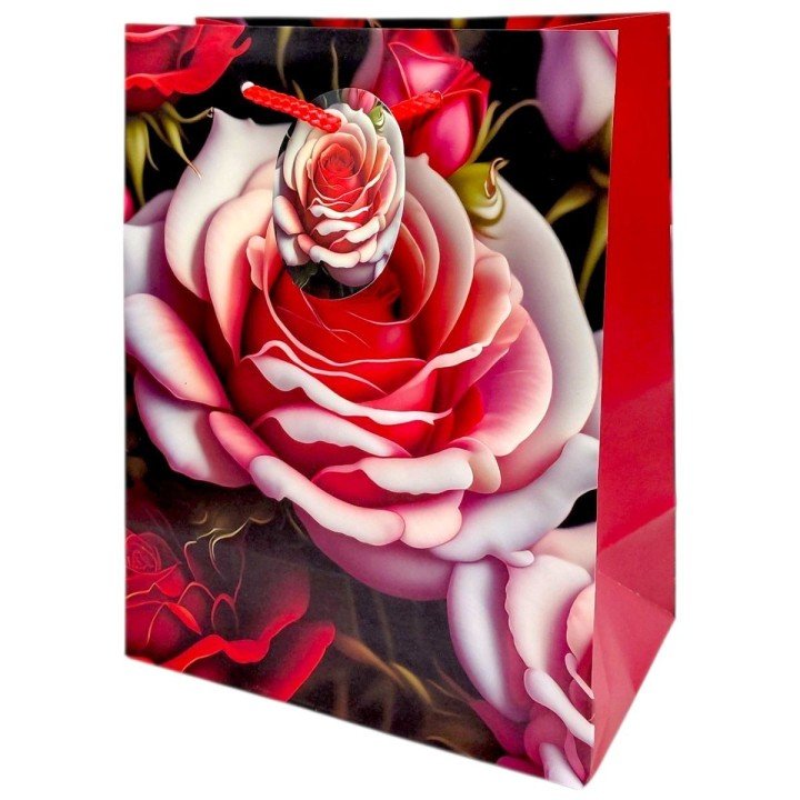 Пакет паперовий 5 шт в пакуванні 18х23х10 см