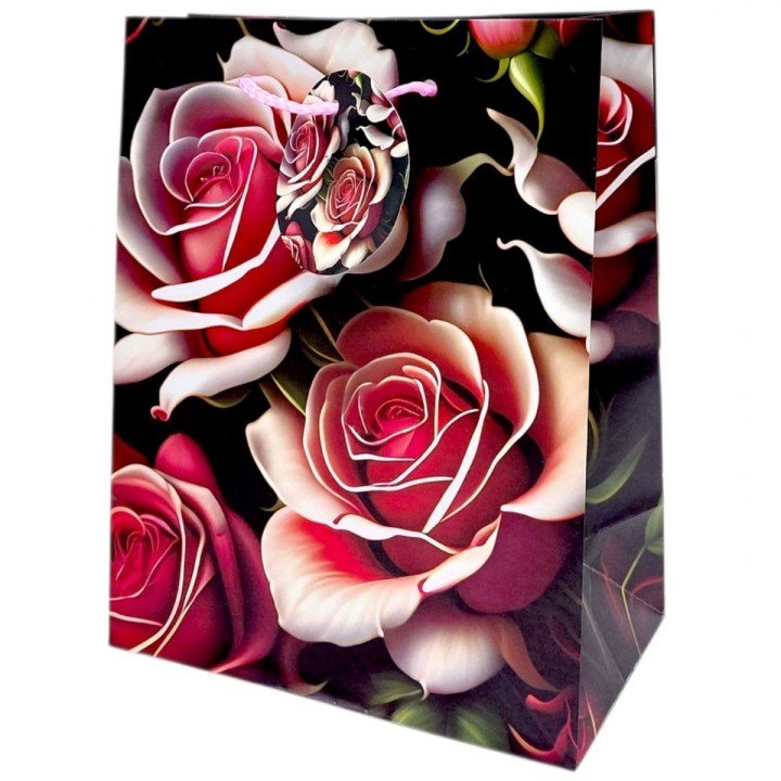 Пакет паперовий 5 шт в пакуванні 18х23х10 см