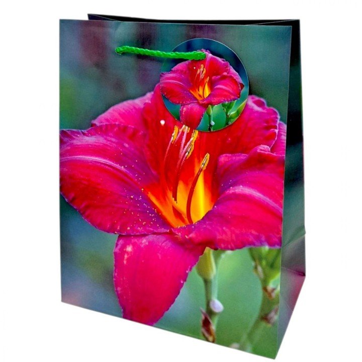 Пакет паперовий 5 шт в пакуванні 18х23х10 см