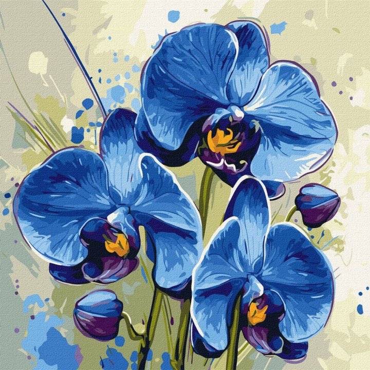 Картина по номерах "Ніжна орхідея" 40х40 см