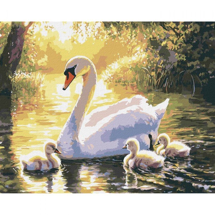 Картина по номерах "Вечірній заплив" 40х50см