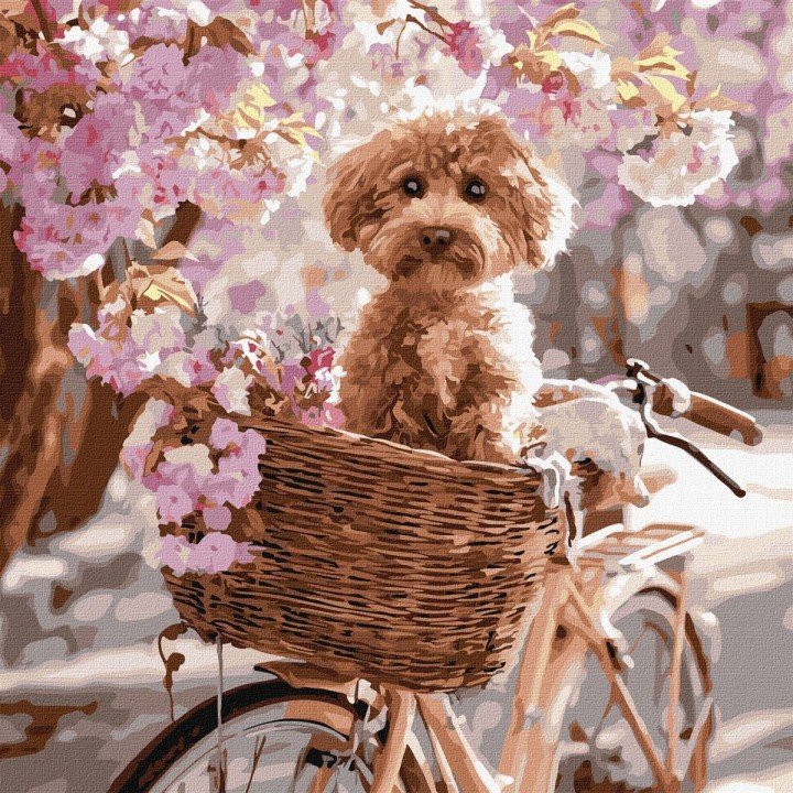 Картина по номерах "Квіткова поїздка" 40х40см