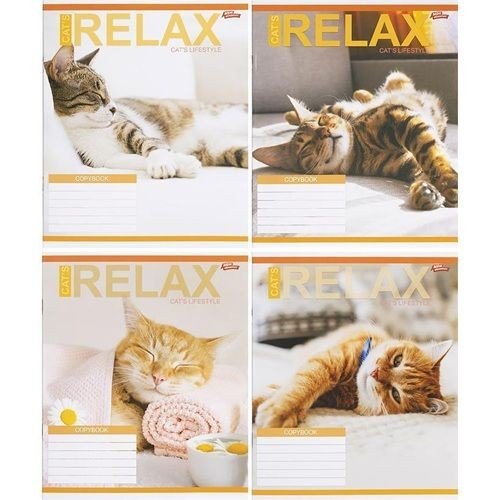 Зошит КОЛЬОРОВИЙ на 18 аркушів КЛІТИНКА "RELAX CATʼS" (20 ШТ)