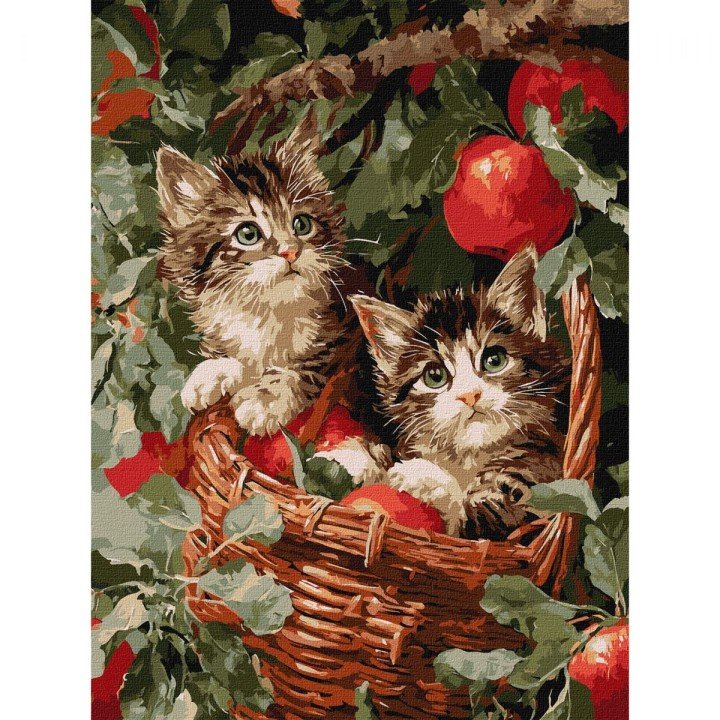 Картина по номерах "КОТИ У КОШИКУ" 30Х40 см