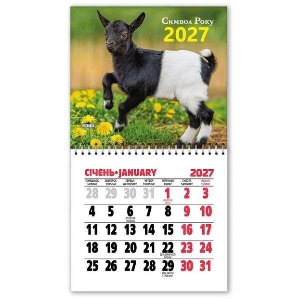 Календар на магніті відривний на 2027 рік Символ року (11х20 см)
