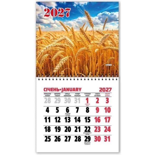 Календар на магніті відривний на 2027 рік (11х20 см)