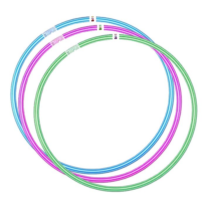 Обруч "Зебра 1", малий (68 см)