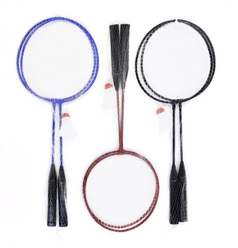 Бадмінтон в сітці