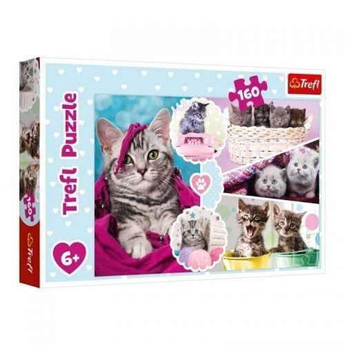 Пазли "Котики", 160 елементів