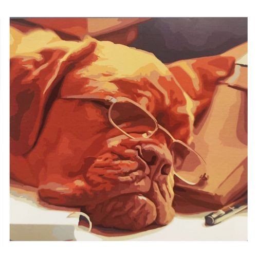 Картина за номерами "Розумный пес" ★★★