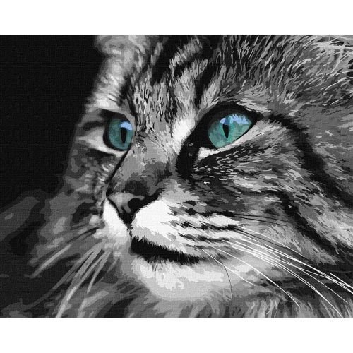 Картина за номерами "Смарагдові очі" ★★★★★