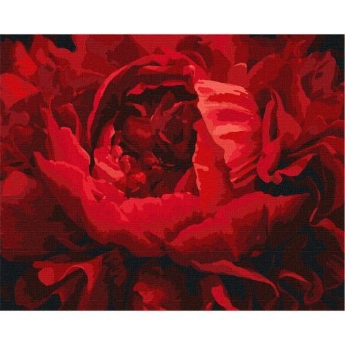 Картина за номерами "Вишукана квітка" ★★★