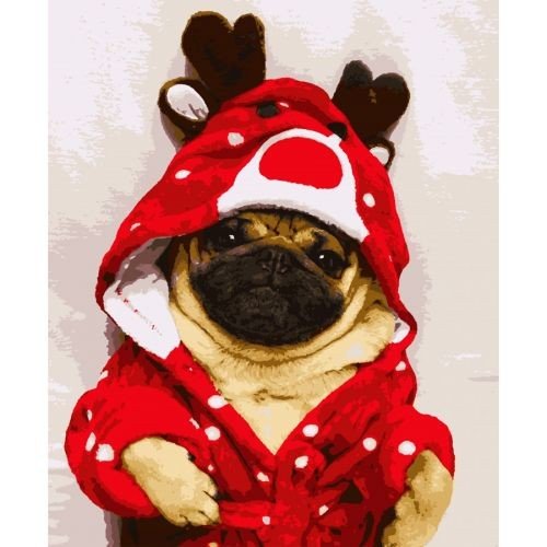 Картина за номерами "Мопсик" ★★★★