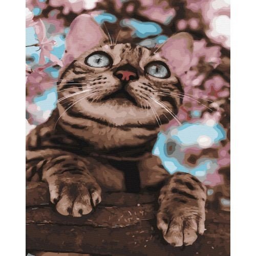 Картина за номерами "Пухнастий бешкетник" ★★★