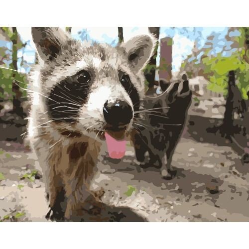 Картина за номерами "Веселий єнотик" ★★★